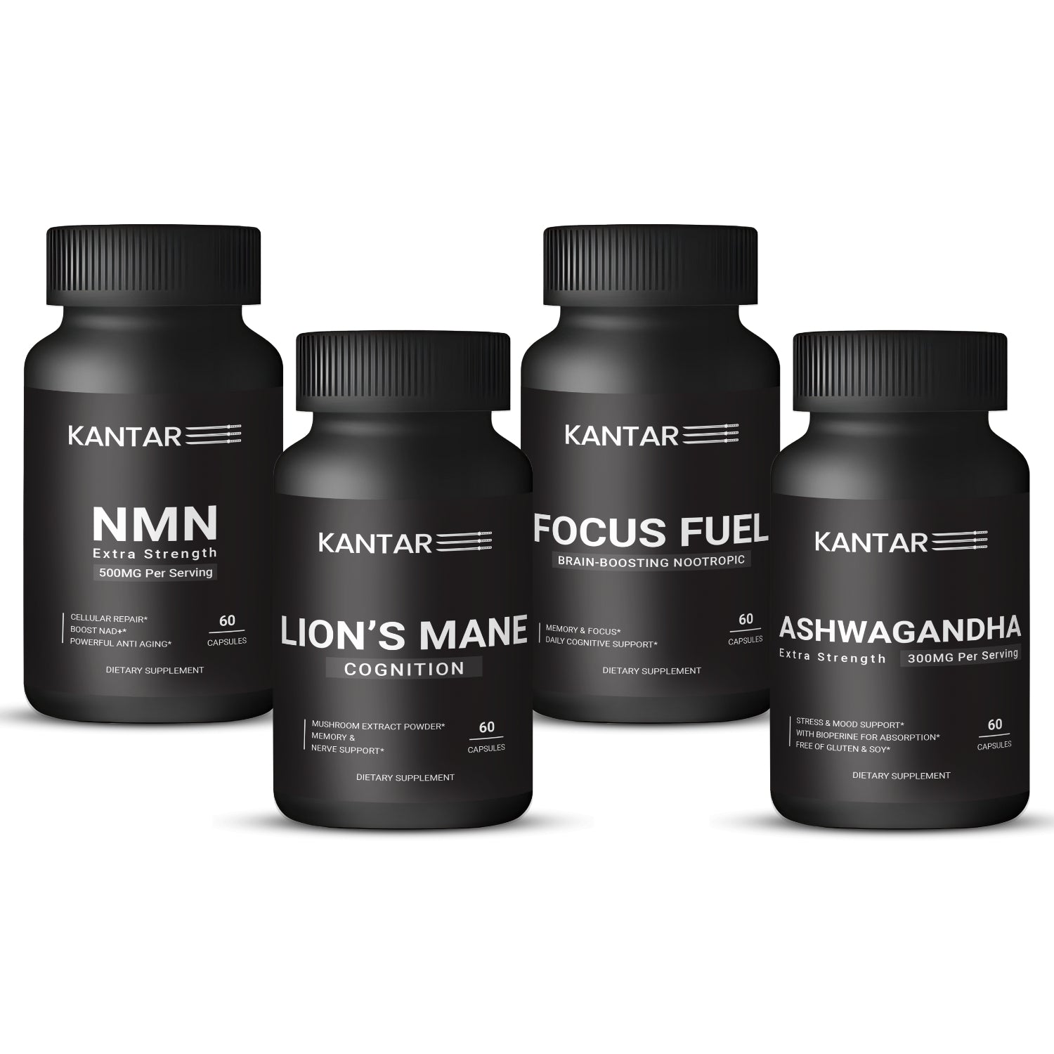 Lion's Mane Cognition